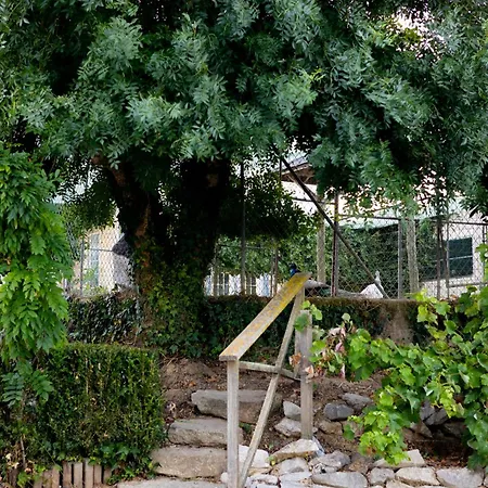 Kabaceira Village Διαμέρισμα *